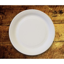 Plat economy compostable 23 cm pack 15u