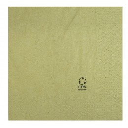 Paquet tovallons paper reciclat 2 capes 33x33cm